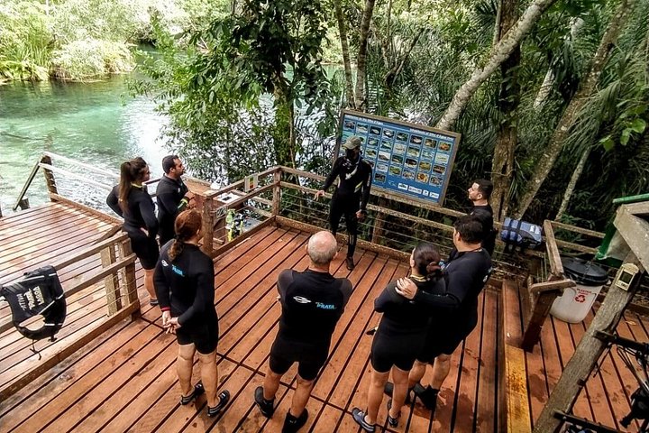 Schnorchelabenteuer im klaren Wasser des Recanto Ecológico Rio da Prata, Bonito, Brasilien, Foto 30 | wizardtrip