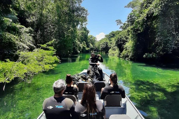 Schnorchelabenteuer im klaren Wasser des Recanto Ecológico Rio da Prata, Bonito, Brasilien, Foto 31 | wizardtrip