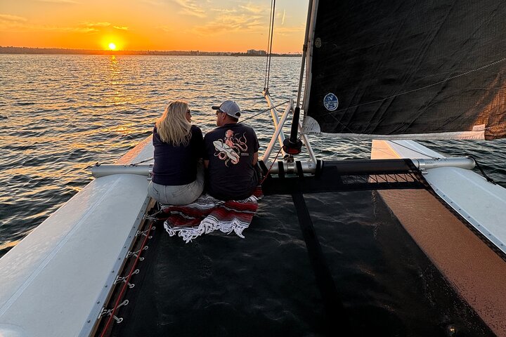 Nyd en katamaransejlads i San Diego havn, spot havliv og byudsigt, foto 6 | wizardtrip