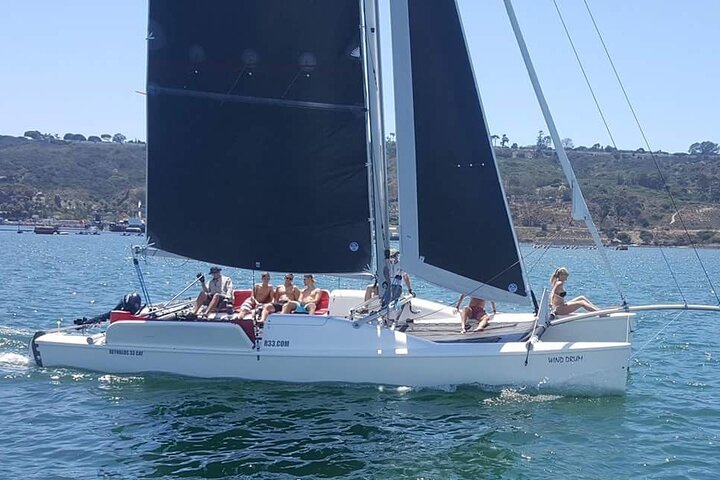 Nyd en katamaransejlads i San Diego havn, spot havliv og byudsigt, foto 8 | wizardtrip