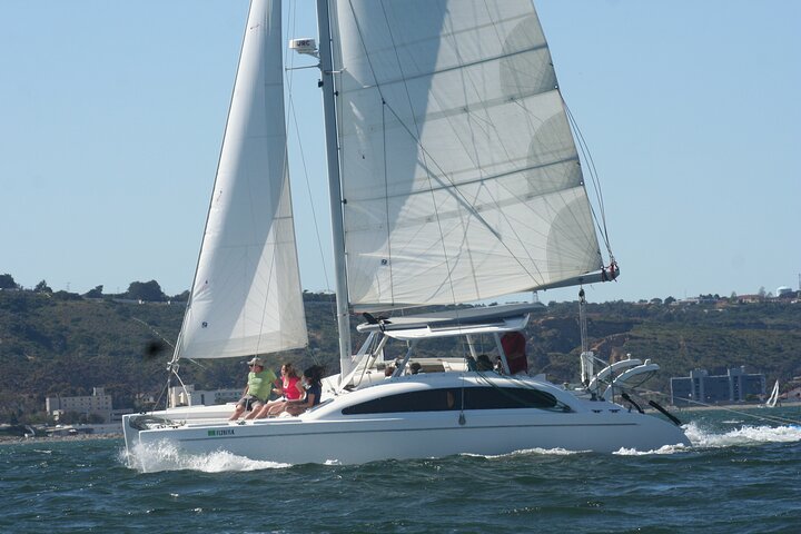 Nyd en katamaransejlads i San Diego havn, spot havliv og byudsigt, foto 10 | wizardtrip