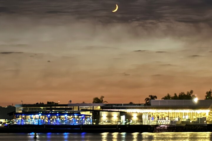 Nyd en katamaransejlads i San Diego havn, spot havliv og byudsigt, foto 17 | wizardtrip