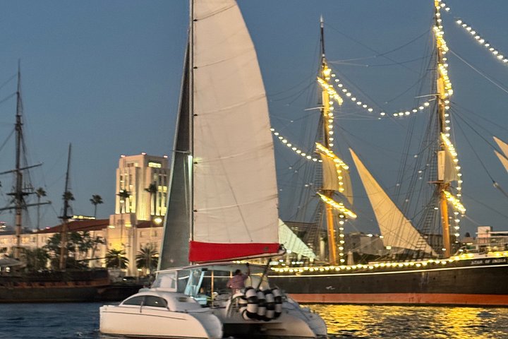 Nyd en katamaransejlads i San Diego havn, spot havliv og byudsigt, foto 27 | wizardtrip