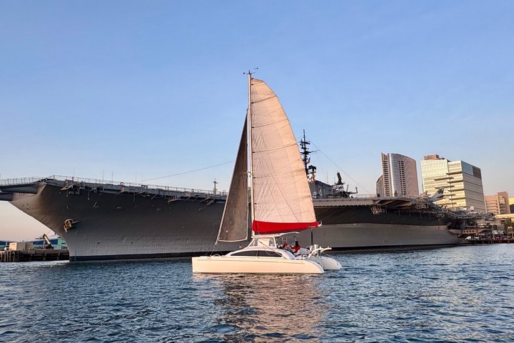 Nyd en katamaransejlads i San Diego havn, spot havliv og byudsigt, foto 30 | wizardtrip