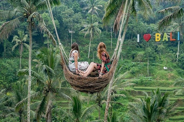 バリ島のプライベートカーツアー、ローカルホスト同行、寺院、棚田、滝を巡る旅、写真7 | wizardtrip