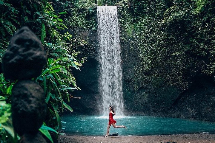 バリ島のプライベートカーツアー、ローカルホスト同行、寺院、棚田、滝を巡る旅、写真8 | wizardtrip
