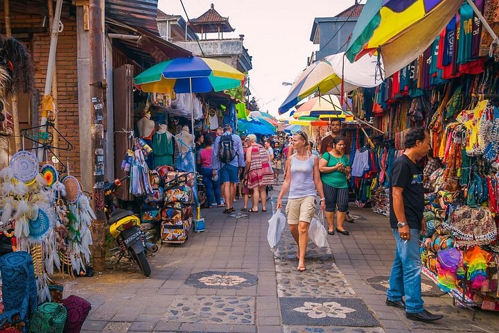 バリ島のプライベートカーツアー、ローカルホスト同行、寺院、棚田、滝を巡る旅、写真11 | wizardtrip