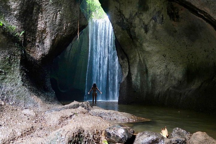 バリ島のプライベートカーツアー、ローカルホスト同行、寺院、棚田、滝を巡る旅、写真13 | wizardtrip