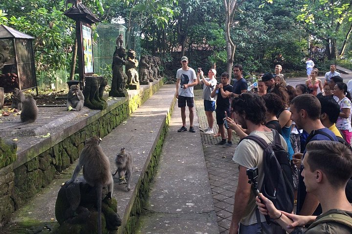 バリ島のプライベートカーツアー、ローカルホスト同行、寺院、棚田、滝を巡る旅、写真14 | wizardtrip