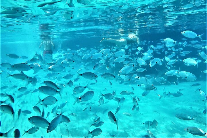 Tour in Barca a Ibiza: Snorkeling, Spiaggia e Grotta | wizardtrip