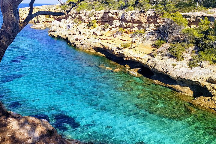 Excursión de snorkel, playa y cuevas en las hermosas bahías de Ibiza con SUP, foto 8 | wizardtrip
