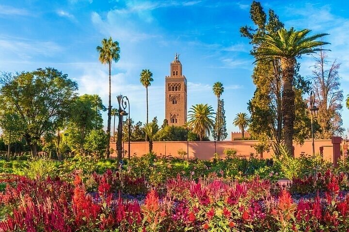 Utforska Marrakechs historiska platser och livliga kultur på en guidad halvdagstur i staden, foto 15 | wizardtrip