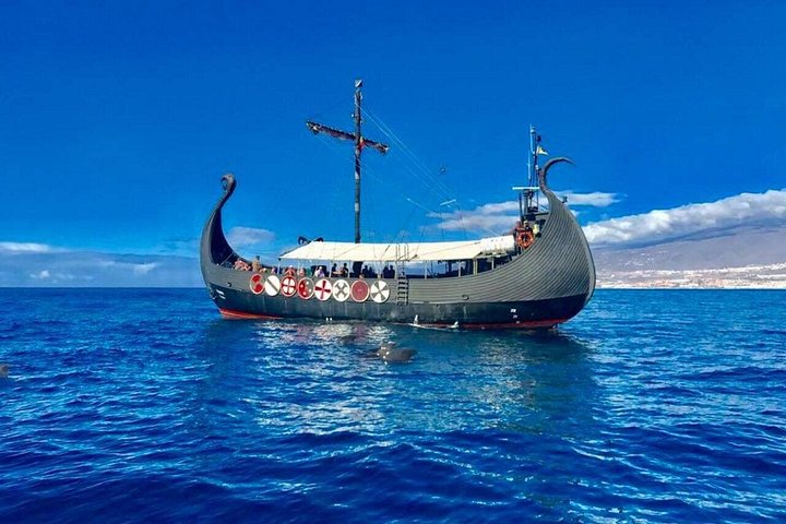 Wikinger-Schiffstour auf Teneriffa zur Walbeobachtung und zum Schwimmen, Foto 11 | wizardtrip