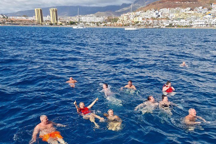 Wikinger-Schiffstour auf Teneriffa zur Walbeobachtung und zum Schwimmen, Foto 13 | wizardtrip