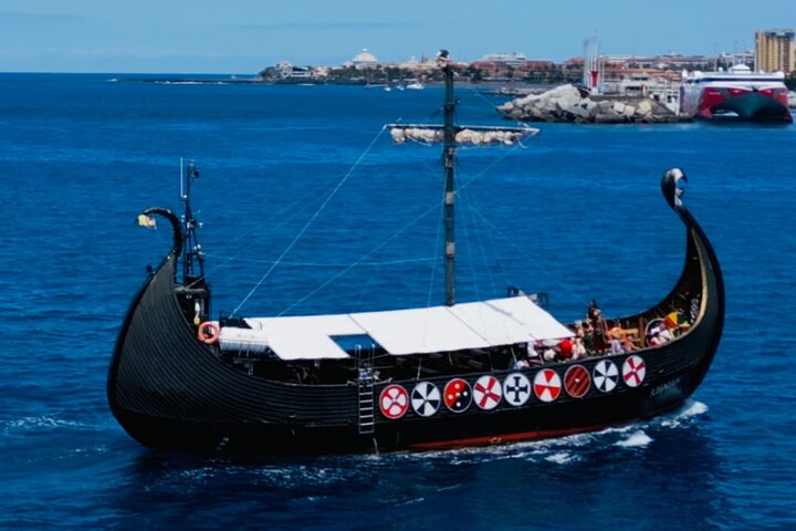 Passeio de barco Viking para observação de baleias e golfinhos ao longo da costa de Tenerife, foto 19 | wizardtrip