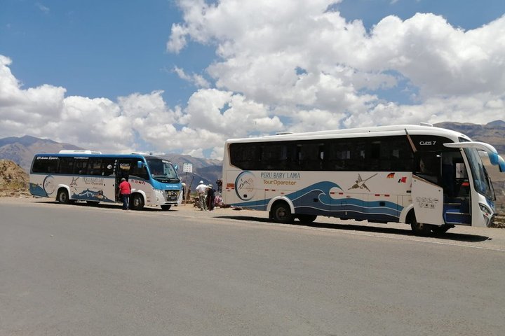 Heldagstur til Colca Canyon i Arequipa, Peru, for å se kondorer, foto 8 | wizardtrip
