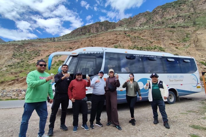 Heldagstur til Colca Canyon i Arequipa, Peru, for å se kondorer, foto 9 | wizardtrip