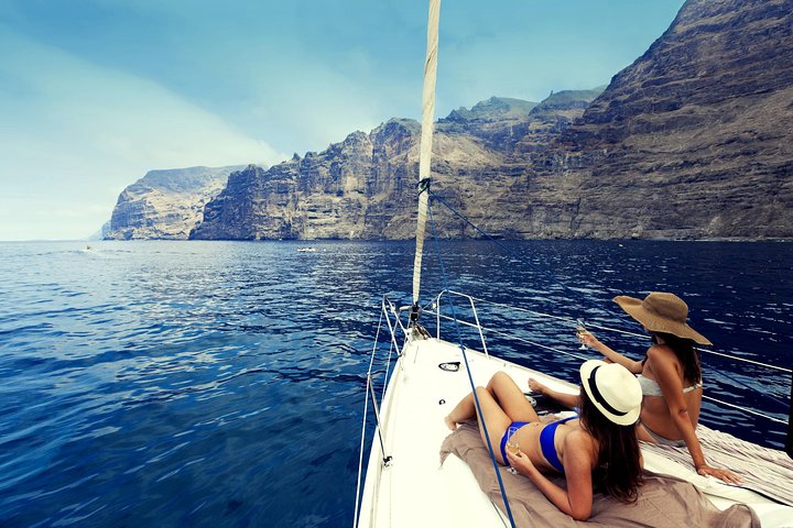 Whales and Dolphins Watching in Exclusive Sailboat | wizardtrip