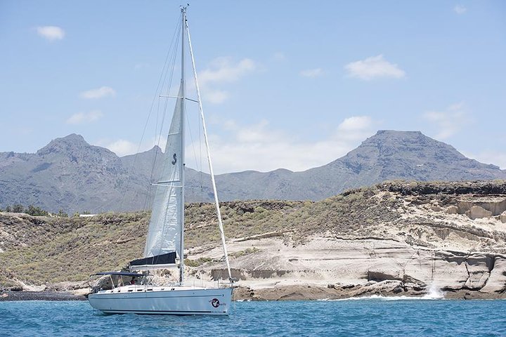 Hvalsafari og delfinobservation fra en sejlbåd på Tenerife, foto 6 | wizardtrip