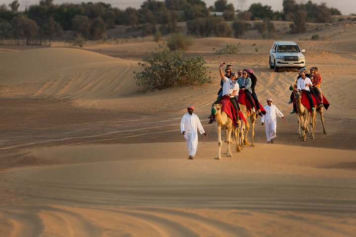 Sunset Camel Trekking, Falcon Show & VIP BBQ Dinner | wizardtrip