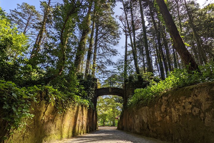 Kleine groepstour die Sintra, Cascais en het Pena Paleis vanuit Lissabon, Portugal verkent, foto 7 | wizardtrip