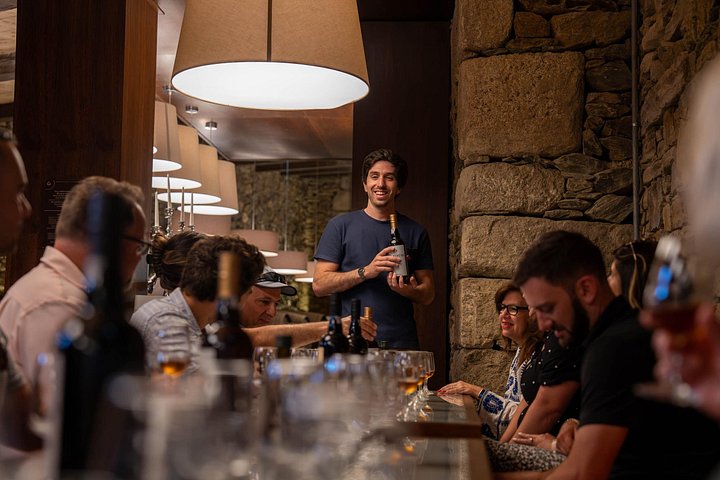 Tour in piccolo gruppo attraverso i vigneti della Valle del Duero, visita di cantine e crociera fluviale, foto 6 | wizardtrip