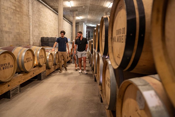 Tour in piccolo gruppo attraverso i vigneti della Valle del Duero, visita di cantine e crociera fluviale, foto 10 | wizardtrip