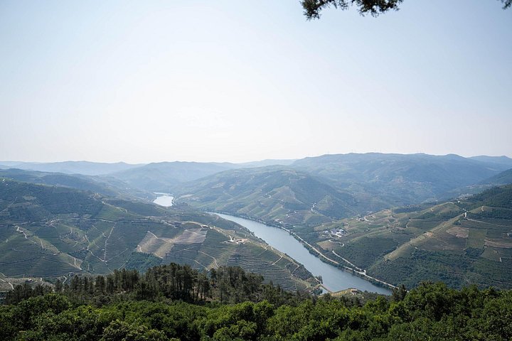 Tour in piccolo gruppo attraverso i vigneti della Valle del Duero, visita di cantine e crociera fluviale, foto 11 | wizardtrip