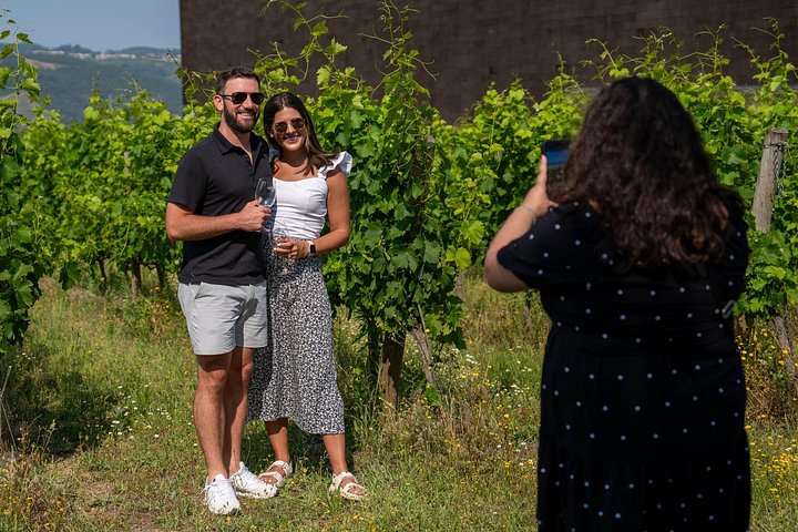 Tour in piccolo gruppo attraverso i vigneti della Valle del Duero, visita di cantine e crociera fluviale, foto 21 | wizardtrip