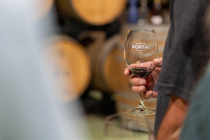 Tour in piccolo gruppo attraverso i vigneti della Valle del Duero, visita di cantine e crociera fluviale, foto 24 | wizardtrip