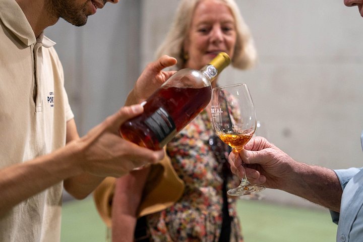 Tour in piccolo gruppo attraverso i vigneti della Valle del Duero, visita di cantine e crociera fluviale, foto 25 | wizardtrip