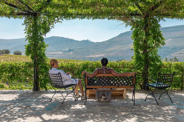 Dourovallei wijn tour met riviercruise en wijngaardbezoeken vanuit Porto, foto 12 | wizardtrip