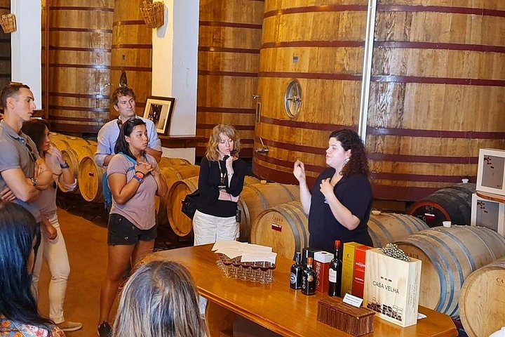 Dourovallei wijn tour met riviercruise en wijngaardbezoeken vanuit Porto, foto 16 | wizardtrip