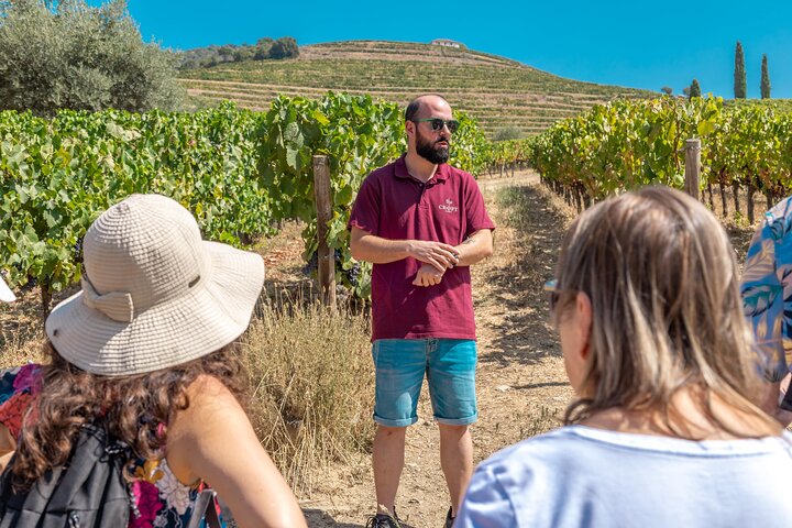 Tour de meio dia do Porto ao Vale do Douro com prova de vinhos e cruzeiro no rio, foto 6 | wizardtrip