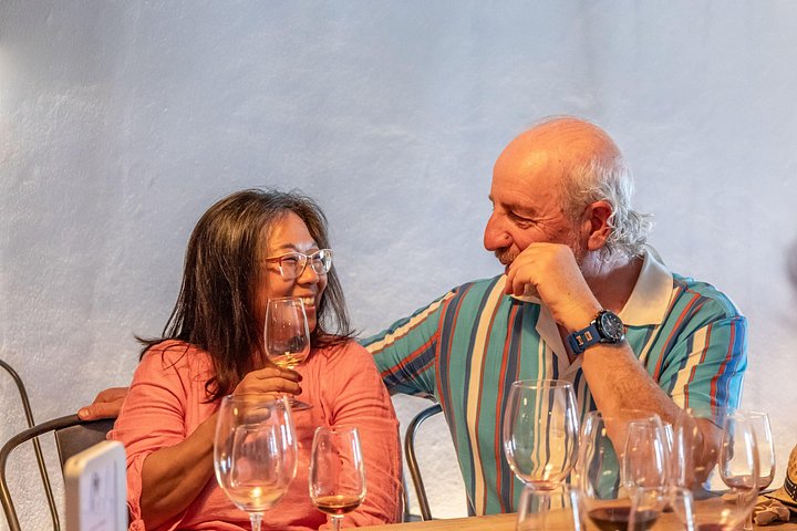 Tour de meio dia do Porto ao Vale do Douro com prova de vinhos e cruzeiro no rio, foto 8 | wizardtrip