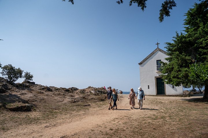 Tour de meio dia do Porto ao Vale do Douro com prova de vinhos e cruzeiro no rio, foto 10 | wizardtrip