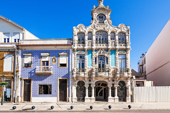Half-day tour from Porto to Aveiro and Costa Nova, featuring canals, Moliceiro boats, and colorful houses, photo 6 | wizardtrip