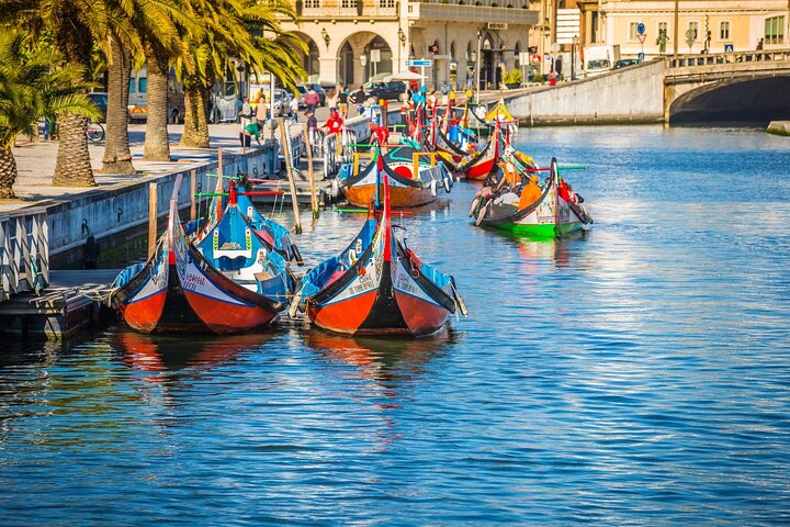 Half-day tour from Porto to Aveiro and Costa Nova, featuring canals, Moliceiro boats, and colorful houses, photo 12 | wizardtrip