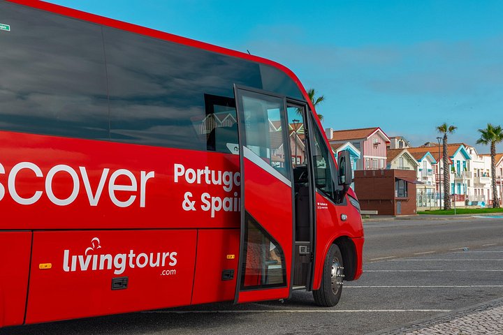 Half-day tour from Porto to Aveiro and Costa Nova, featuring canals, Moliceiro boats, and colorful houses, photo 14 | wizardtrip