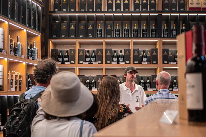 Scenic Douro Valley tour from Porto featuring vineyards, river cruise, wine tasting, and historical sites, photo 11 | wizardtrip