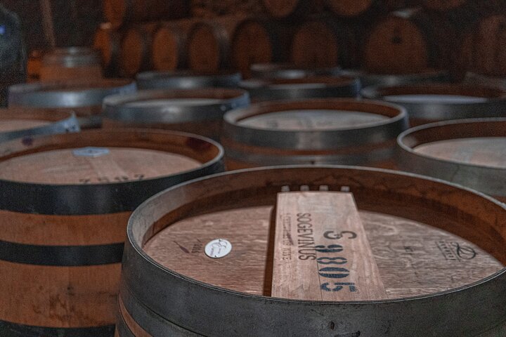 Scenic Douro Valley tour from Porto featuring vineyards, river cruise, wine tasting, and historical sites, photo 12 | wizardtrip