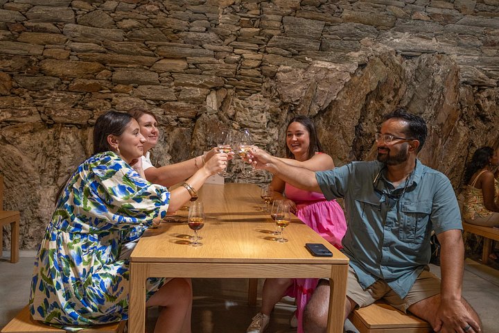 Scenic Douro Valley tour from Porto featuring vineyards, river cruise, wine tasting, and historical sites, photo 13 | wizardtrip