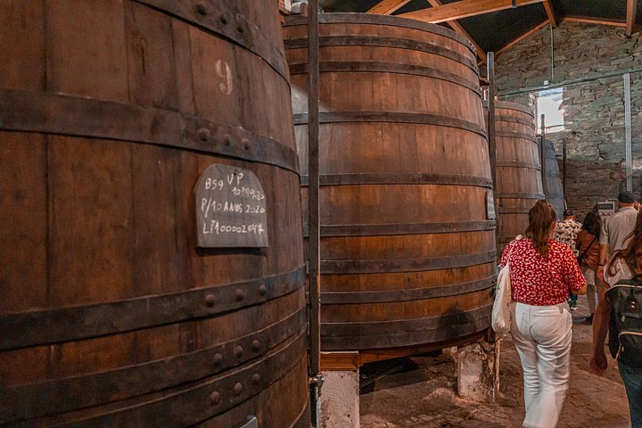 Scenic Douro Valley tour from Porto featuring vineyards, river cruise, wine tasting, and historical sites, photo 15 | wizardtrip