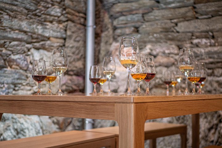 Scenic Douro Valley tour from Porto featuring vineyards, river cruise, wine tasting, and historical sites, photo 16 | wizardtrip