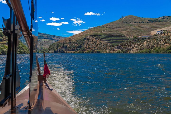 Scenic Douro Valley tour from Porto featuring vineyards, river cruise, wine tasting, and historical sites, photo 21 | wizardtrip
