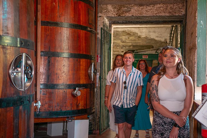 Privétour door de wijngaarden, wijnhuizen en riviercruise van de Douro Vallei vanuit Porto, Portugal, foto 12 | wizardtrip