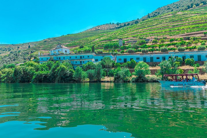 Privétour door de wijngaarden, wijnhuizen en riviercruise van de Douro Vallei vanuit Porto, Portugal, foto 17 | wizardtrip