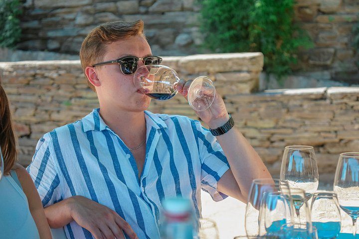 Privétour door de wijngaarden, wijnhuizen en riviercruise van de Douro Vallei vanuit Porto, Portugal, foto 23 | wizardtrip