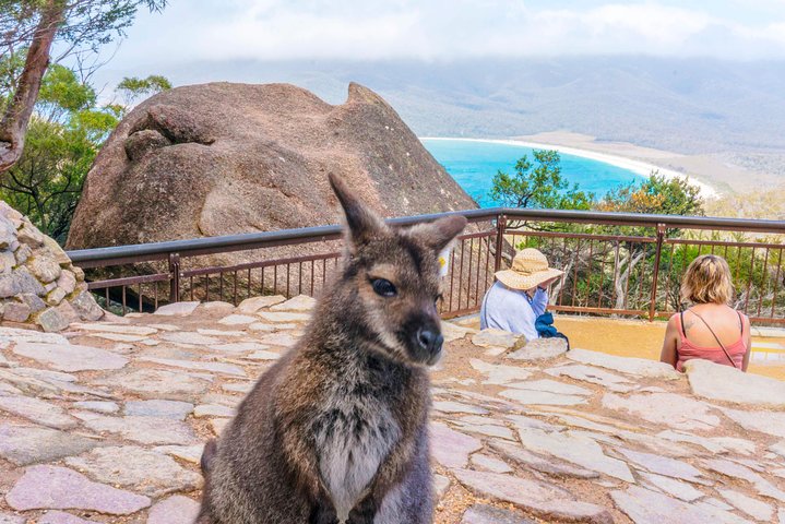 Wineglass Bay & Freycinet NP Full Day Tour from Hobart via Richmond Village | wizardtrip