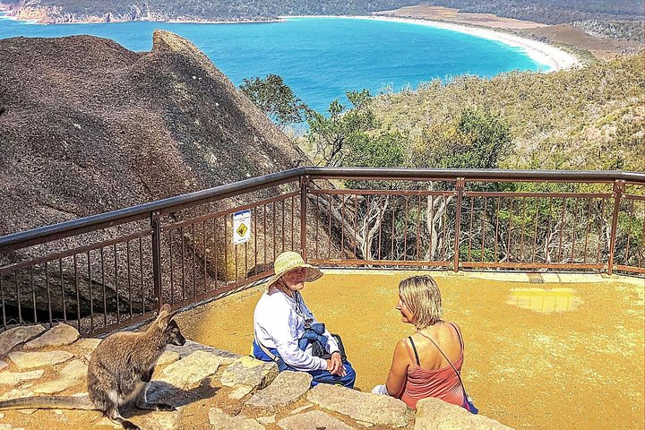 Passeio de dia inteiro a Wineglass Bay e Parque Nacional Freycinet a partir de Hobart, incluindo viagens panorâmicas e locais históricos, foto 19 | wizardtrip